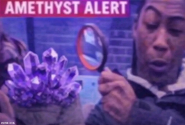Amethyst alert | image tagged in amethyst alert | made w/ Imgflip meme maker