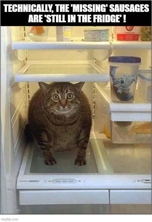 What's The Problem ? | Technically, the 'missing' sausages
 are 'still in the fridge' ! | image tagged in cats,fridge,sausages,missing | made w/ Imgflip meme maker