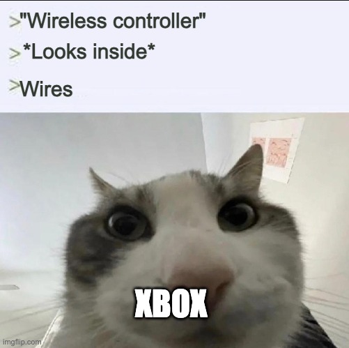 Cat looks inside | "Wireless controller"; *Looks inside*; Wires; XbOX | image tagged in cat looks inside | made w/ Imgflip meme maker