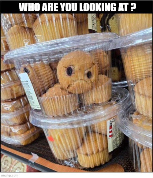 That's A Scary Cupcake ! | Who Are You Looking At ? | image tagged in scary,cupcake | made w/ Imgflip meme maker
