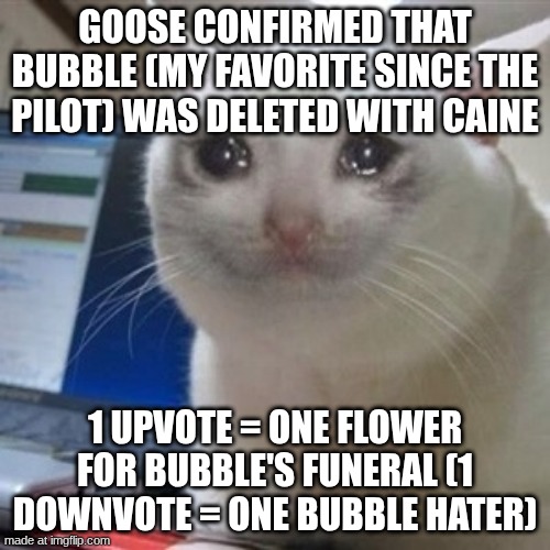 guys, bad news | goose confirmed that bubble (my favorite since the pilot) was deleted with caine; 1 upvote = one flower for bubble's funeral (1 downvote = one bubble hater) | image tagged in crying cat | made w/ Imgflip meme maker