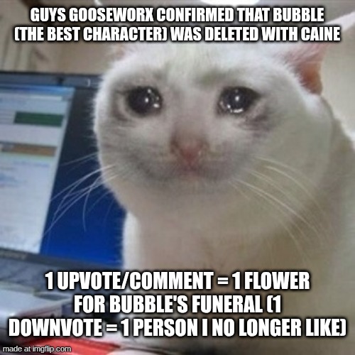 guys, bad news ? | guys gooseworx confirmed that bubble (the best character) was deleted with caine; 1 upvote/comment = 1 flower for Bubble's funeral (1 downvote = 1 person I no longer like) | image tagged in crying cat | made w/ Imgflip meme maker