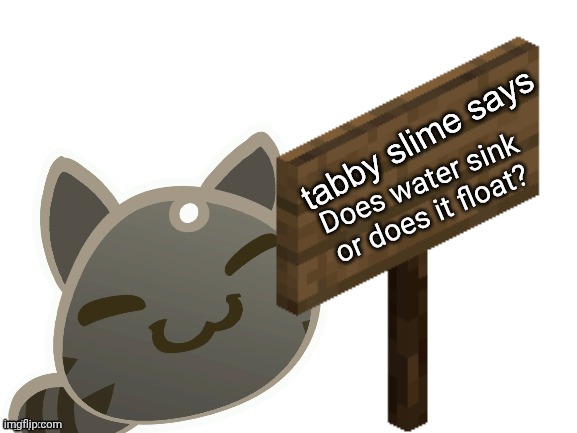 Tabby Slime Says | Does water sink or does it float? | image tagged in tabby slime says | made w/ Imgflip meme maker