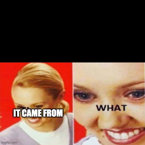 The What | it came from | image tagged in the what | made w/ Imgflip meme maker