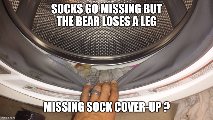 dryer lost socks | Socks go missing but
The bear loses a leg Missing sock cover-up ? | image tagged in dryer lost socks | made w/ Imgflip meme maker