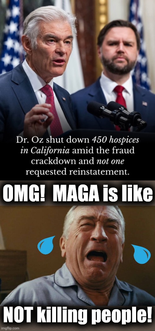 A tragedy for libs | OMG!  MAGA is like; NOT killing people! | image tagged in deniro crying,memes,hospice,california,fraud,democrats | made w/ Imgflip meme maker