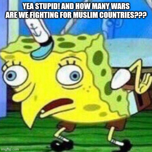 Yea stupid! And how many wars are we fighting for Muslim countries??? | image tagged in triggerpaul | made w/ Imgflip meme maker