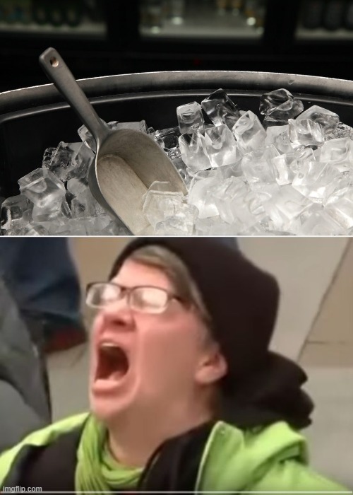 image tagged in screaming liberal | made w/ Imgflip meme maker