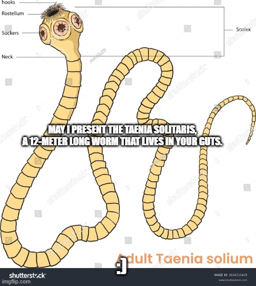 flatworm suffering | may i present the taenia solitaris, a 12-meter long worm that lives in your guts. :) | image tagged in flatworm,suffering | made w/ Imgflip meme maker