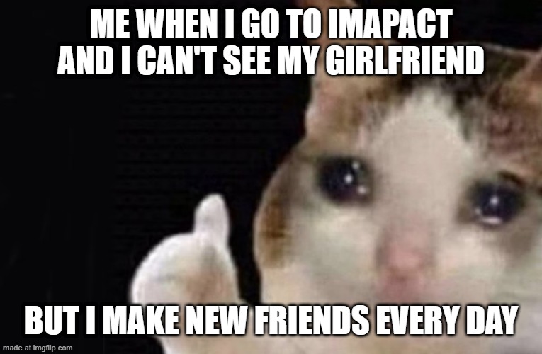 my life every day | Me when i go to imapact and i can't see my girlfriend; but i make new friends every day | image tagged in fun | made w/ Imgflip meme maker