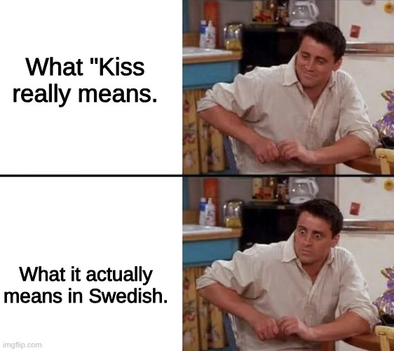 Linguistic false friends - "Kiss" in Swedish means "Pee" | What "Kiss really means. What it actually means in Swedish. | image tagged in surprised joey | made w/ Imgflip meme maker