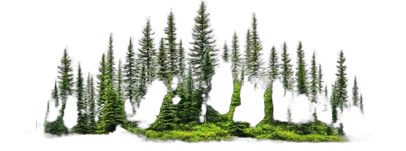 I love nature charlie Blank Meme Template