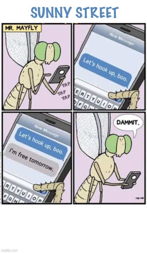 Them’s the breaks | Sunny street | image tagged in comics,sunny street,mayfly,texting,hook up,short life | made w/ Imgflip meme maker