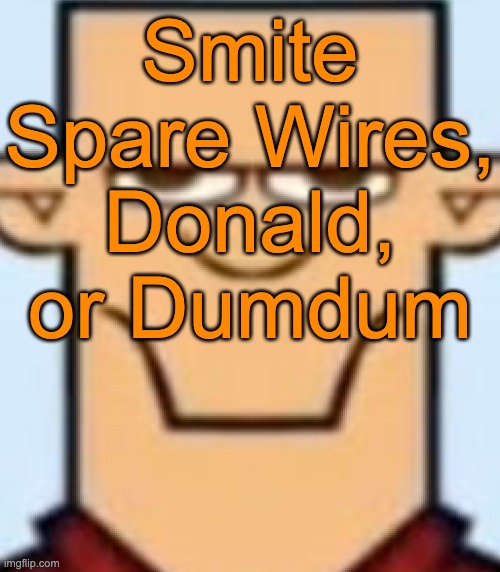 Sped Tyler | Smite Spare Wires, Donald, or Dumdum | image tagged in sped tyler,voting game s19 | made w/ Imgflip meme maker