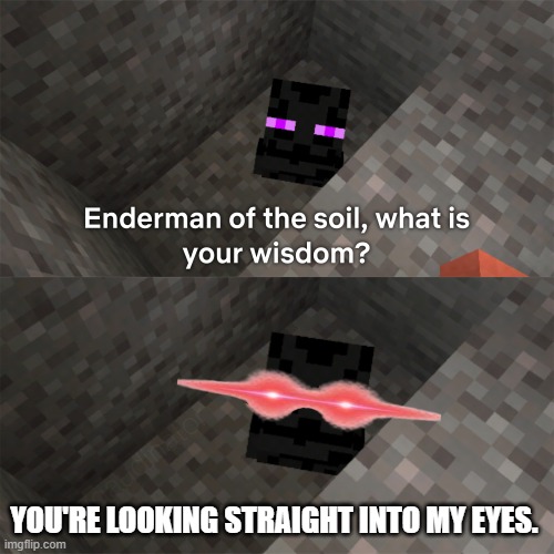 OH NOOOOOOOOOOOOOOOOOOOOOOOOOOOOOOOOO | YOU'RE LOOKING STRAIGHT INTO MY EYES. | image tagged in enderman of the soil | made w/ Imgflip meme maker