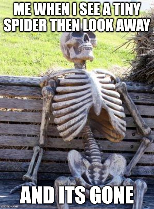Waiting Skeleton Meme | me when i see a tiny spider then look away; and its gone | image tagged in memes,waiting skeleton,remix | made w/ Imgflip meme maker