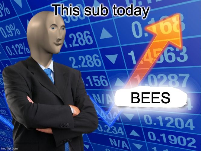 Empty Stonks | This sub today; BEES | image tagged in empty stonks | made w/ Imgflip meme maker