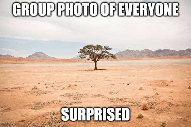 Group photo of everyone surprised | group photo of everyone; surprised | image tagged in dessert,group photo,group photo of everyone surprised,everyone surprised,sarcasm | made w/ Imgflip meme maker