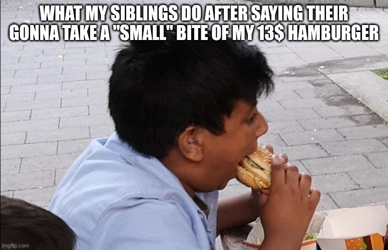 Yeah sure buddy "small" bite | What my siblings do after saying their gonna take a "small" bite of my 13$ hamburger | image tagged in brother let me take one small bite,meme,true,food | made w/ Imgflip meme maker