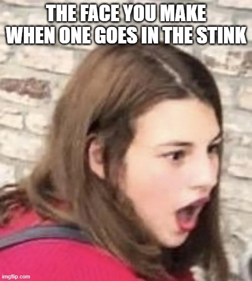 One in the Stink | The face you make when one goes in the stink | image tagged in sex jokes | made w/ Imgflip meme maker