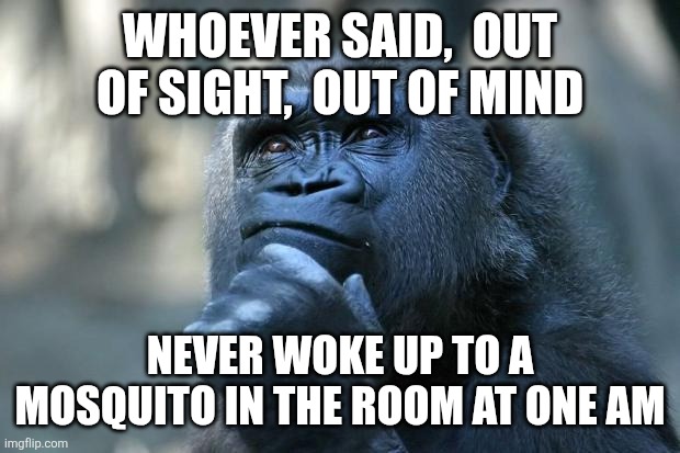 Deep Thoughts | Whoever said,  out of sight,  out of mind; Never woke up to a mosquito in the room at one am | image tagged in deep thoughts | made w/ Imgflip meme maker