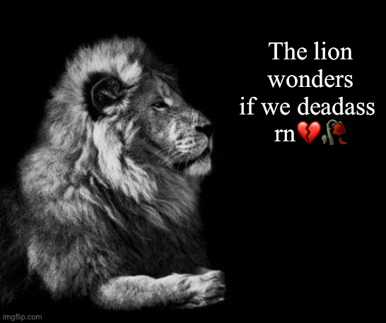 the lion.. | The lion wonders if we deadass 
rn?? | image tagged in the lion | made w/ Imgflip meme maker
