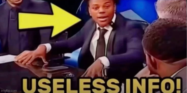 useless info | image tagged in useless info | made w/ Imgflip meme maker
