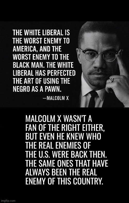 I couldn’t agree more with Mr. X’s sentiments | image tagged in political meme,malcolm x,white liberals,worst enemy,pawns,real enemy | made w/ Imgflip meme maker
