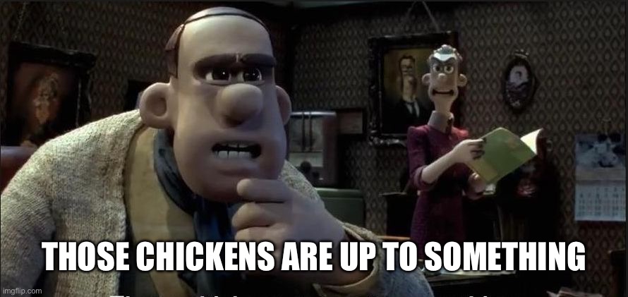 Those chickens are up to something | Those chickens are up to something | image tagged in those chickens are up to something | made w/ Imgflip meme maker