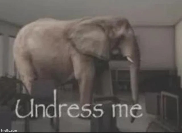 undress me | image tagged in undress me | made w/ Imgflip meme maker