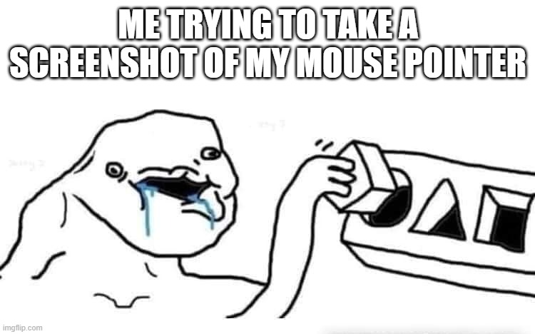 aww, it was in such a cool spot | me trying to take a screenshot of my mouse pointer | image tagged in stupid dumb drooling puzzle | made w/ Imgflip meme maker