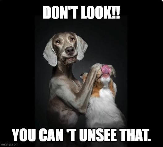 Don't Look! | don't look!! you can 't unsee that. | image tagged in dog don't look jpg,dog,funny dog,funny memes | made w/ Imgflip meme maker