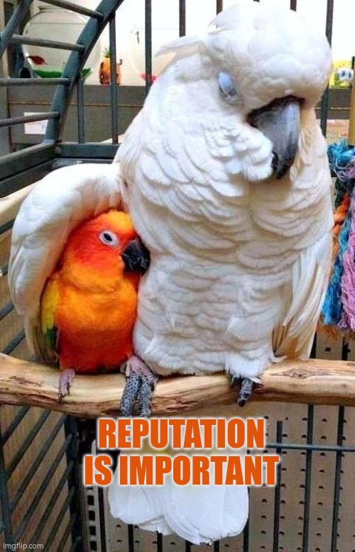 Reputation is important | Reputation is important | image tagged in big bird comforting small bird | made w/ Imgflip meme maker