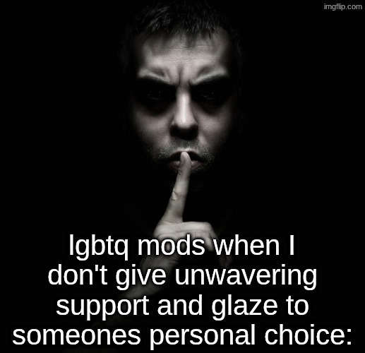 Shhhh | lgbtq mods when I don't give unwavering support and glaze to someones personal choice: | image tagged in shhhh | made w/ Imgflip meme maker