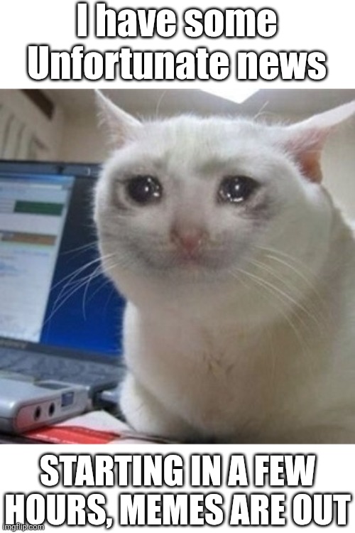 Only real ones will get it | I have some Unfortunate news; Starting in a few hours, memes are out | image tagged in crying cat,a series of unfortunate events,esme gigi genevieve squalor,jerome squalor | made w/ Imgflip meme maker