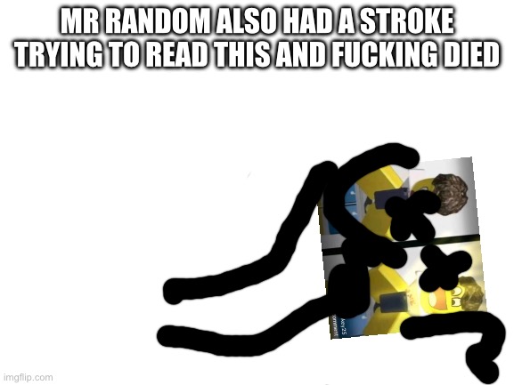 Blank White Template | Mr random also had a stroke trying to read this and fucking died | image tagged in blank white template | made w/ Imgflip meme maker