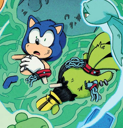 sonic the freakhog Blank Meme Template