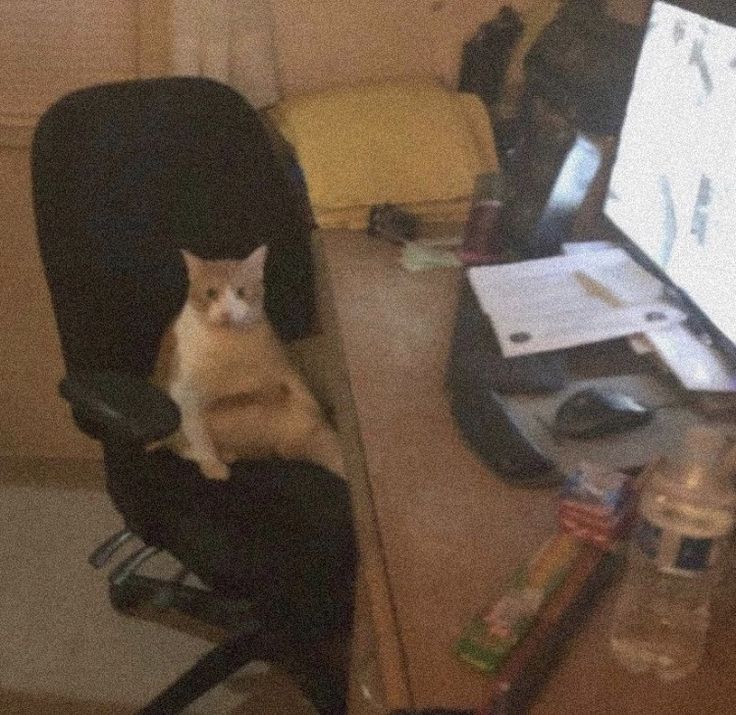 Oh no Blank Meme Template