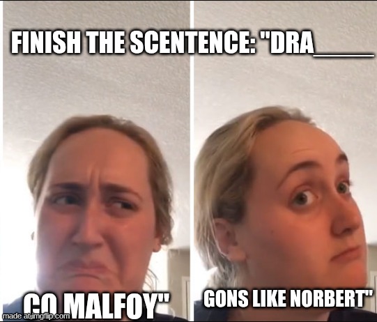 just my opinion, btw | finish the scentence: "Dra____; gons like norbert"; co malfoy" | image tagged in kombucha girl | made w/ Imgflip meme maker