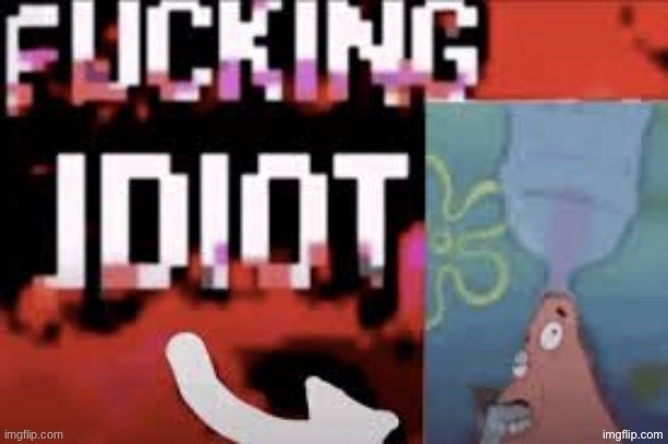 FUCKING IDIOT | image tagged in fucking idiot | made w/ Imgflip meme maker