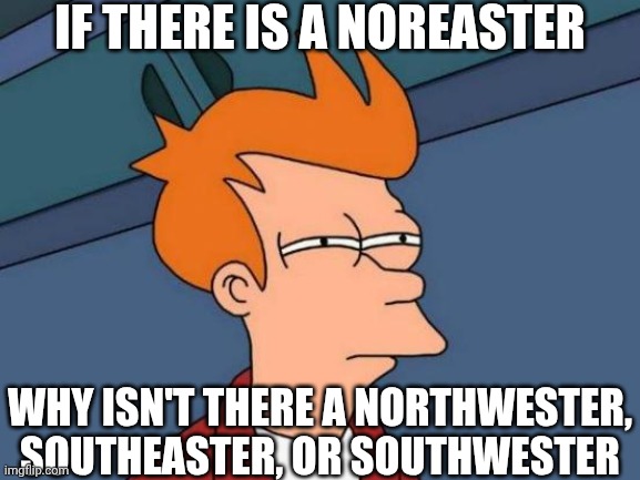 Futurama Fry | If there is a noreaster; why isn't there a northwester, southeaster, or southwester | image tagged in memes,futurama fry | made w/ Imgflip meme maker