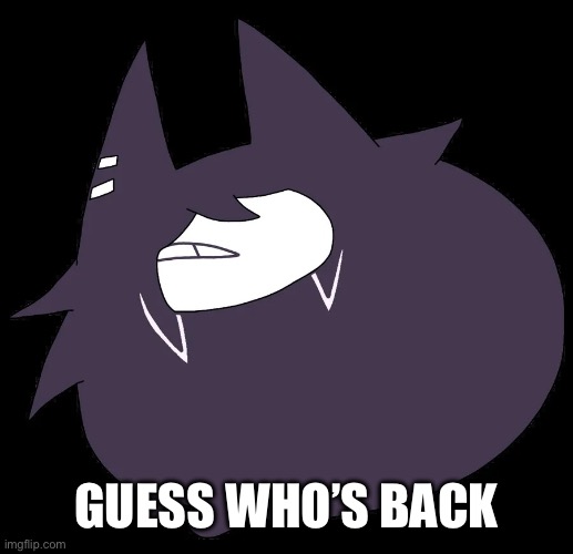 So how’s the stream  | Guess who’s back | image tagged in miss circle | made w/ Imgflip meme maker