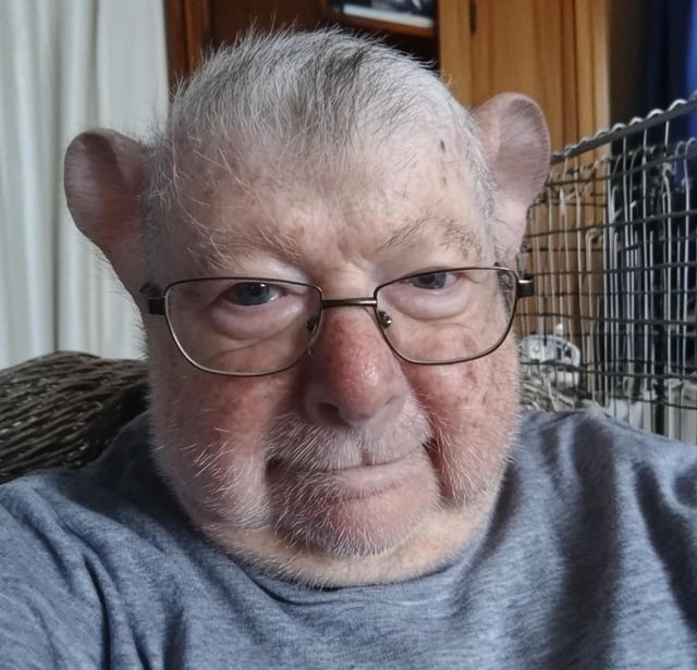 The Doug Blank Meme Template