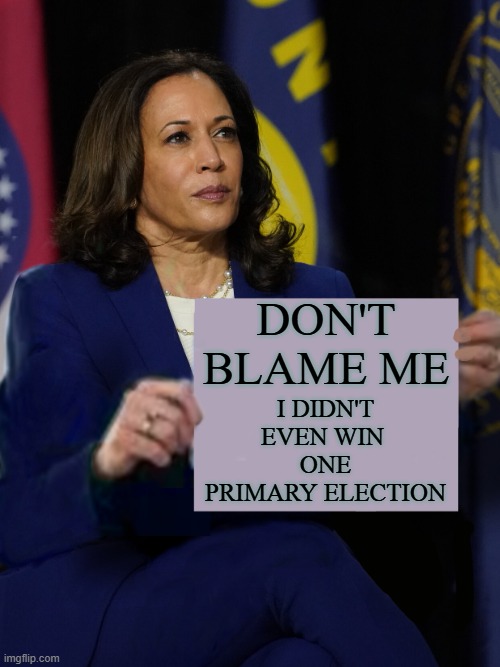 Kamala Harris Holding Sign | Don't blame me I didn't even win 
one primary election | image tagged in kamala harris holding sign | made w/ Imgflip meme maker