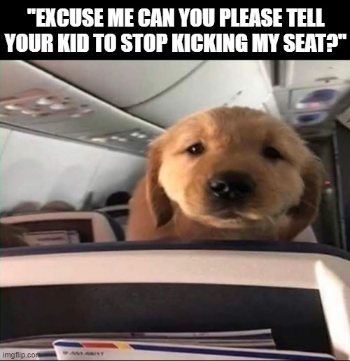 these types of people .... | "excuse me can you please tell your kid to stop kicking my seat?" | image tagged in memes | made w/ Imgflip meme maker