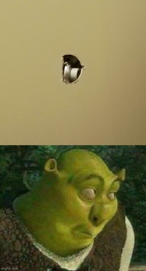 Wall protector broke the wall | image tagged in oops shrek,wall,walls,broke,memes,you had one job | made w/ Imgflip meme maker