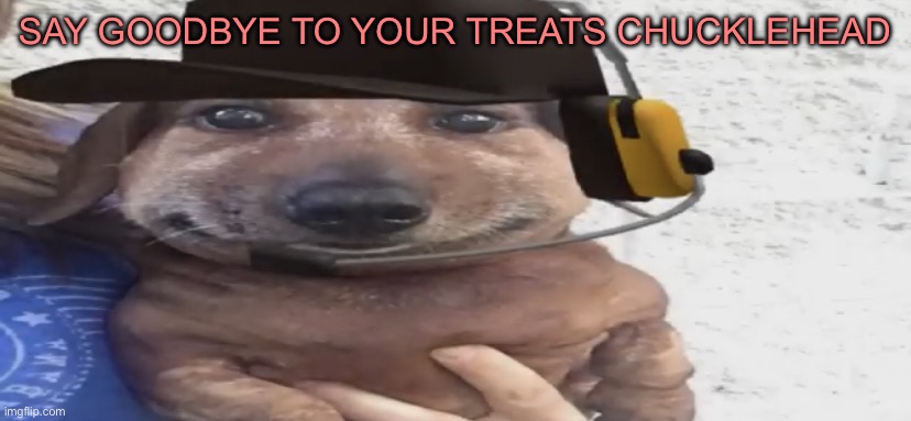 chucklenuts | SAY GOODBYE TO YOUR TREATS CHUCKLEHEAD | image tagged in chucklenuts | made w/ Imgflip meme maker