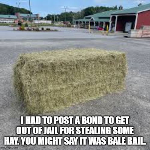 I posted a bond to get out of jail for stealing hay. It was a bale bail. | I had to post a bond to get out of jail for stealing some hay. You might say it was bale bail. | image tagged in funny,humor,jail,play on words,funny memes | made w/ Imgflip meme maker