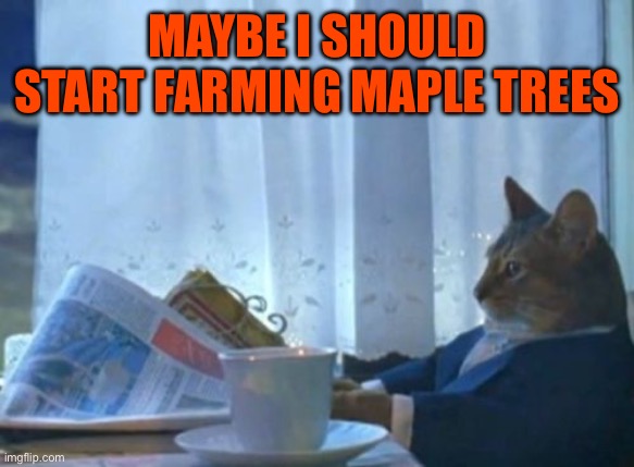 When the maple seeds drop | Maybe I should start farming maple trees | image tagged in memes,i should buy a boat cat,spring,trees,seeds,farming | made w/ Imgflip meme maker
