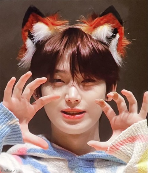 found... something | image tagged in why are you reading this,sun,fox | made w/ Imgflip meme maker